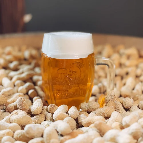 Kozel